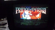 Картридж для sega prince of persia 